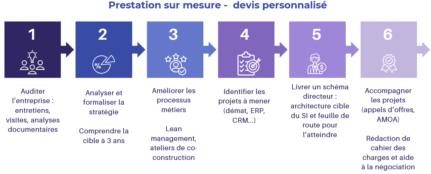 mission complète d'établissement d'un schéma directeur. étpae 1 auditer l'entreprise, 2 analyser et formaliser la stratégie, 3 améliorer les processus, 4 identifier les projets à mener, 5 livrer une architecture cible et une feuille de route pour l'atteindre, 6 accompagner les projets en tant que chef de projet AMOA